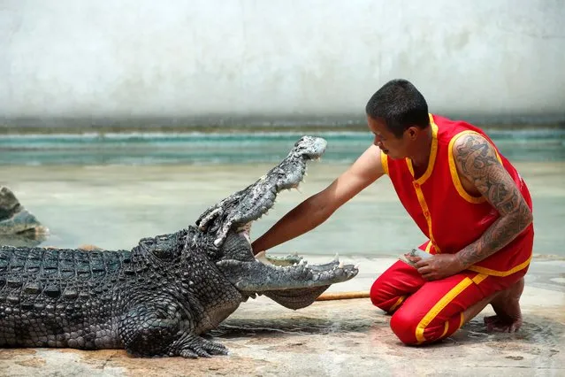 A Thai performer places his arm inside the gaping mouth of a crocodile during a media preview performance as part of preparation to reopen Samutprakarn Crocodile Farm and Zoo in Samut Prakan province, Thailand, 19 March 2024. Thailand's famous tourist attraction Samutprakan Crocodile Farm and Zoo is scheduled to reopen to welcome tourists on 01 April 2024 after a temporary closure in 2020 due to the loss of visitors caused by the COVID-19 pandemic which resulted in the zoo suffering financial loss and going into liquidation. (Photo by Rungroj Yongrit/EPA/EFE)