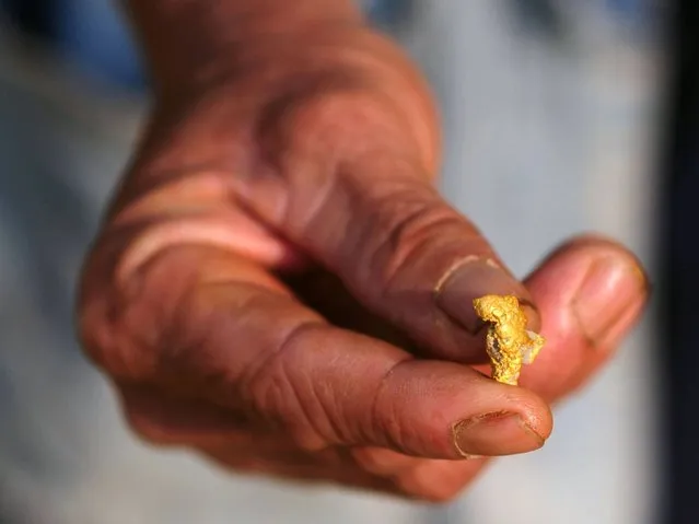 A worker shows a gold nugget found in Lampang. (Photo by Borja Sanchez-Trillo/Getty Images)