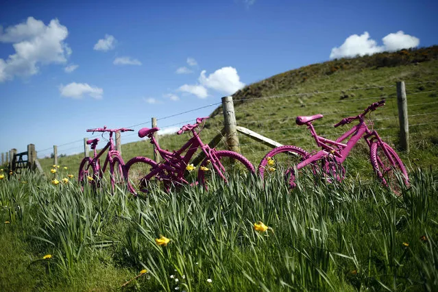Pink bicycles are positioned in a field near the village of Balintoy April 24, 2014. They have been painted pink to welcome the arrival of the Giro d'Italia cycle race whose race leader wears a pink jersey. (Photo by Cathal McNaughton/Reuters)