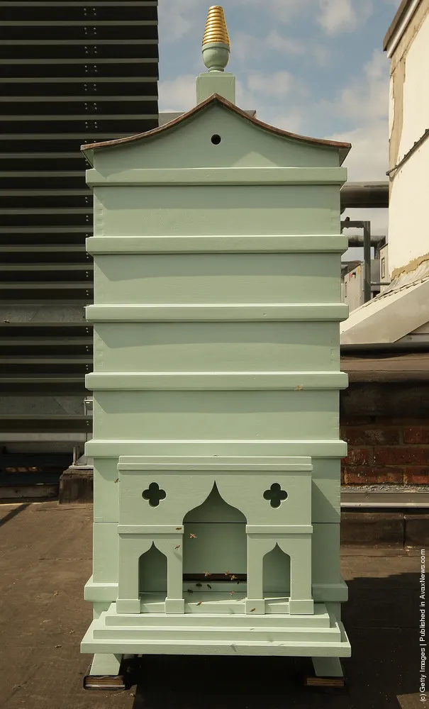 Fortnum And Mason Beehives Take Up Residence On The Roof