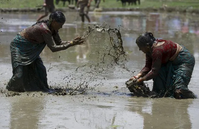 Women splash mud to each other during the Asar Pandhra festival in Pokhara valley, west of Nepal's capital Kathmandu, June 30, 2015. (Photo by Navesh Chitrakar/Reuters)