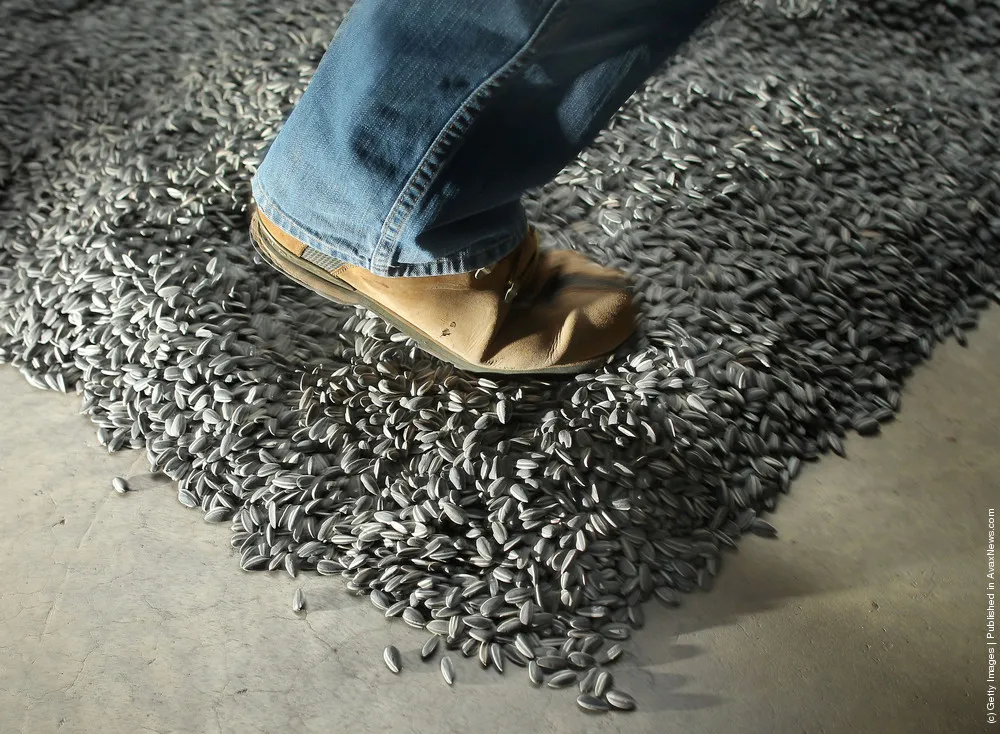 Installation “Sunflower Seeds” By Chinese Artist Ai Weiwei