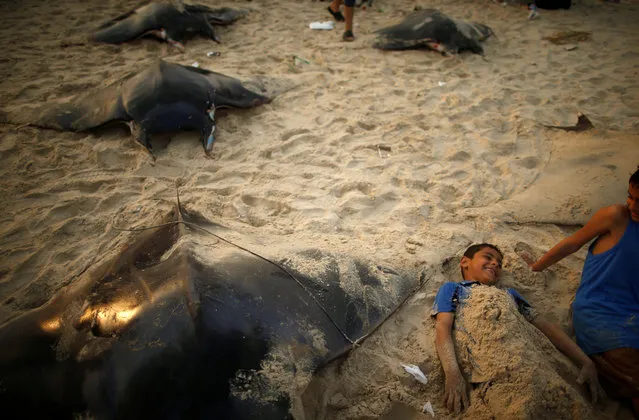 A Palestinian boy lies on sand next to Devil Rays, on a beach in Gaza City on April 6, 2017. (Photo by Mohammed Salem/Reuters)