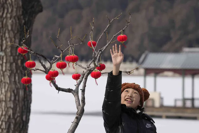 A child reaches for a small lantern hung on a shrub at the Summer Palace on Friday, February 18, 2022, in Beijing. (Photo by Ng Han Guan/AP Photo)