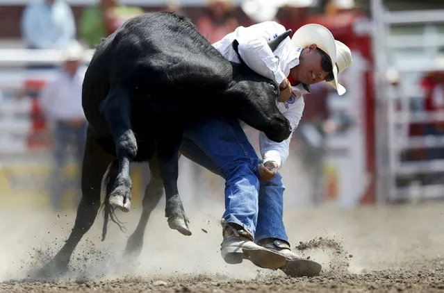 Trevor Knowles of Mt Vernon, Oregon gets pulled off his feet in the steer wrestling event during the Calgary Stampede rodeo in Calgary, Alberta, July 10, 2015. (Photo by Todd Korol/Reuters)