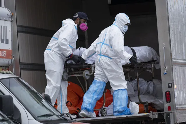 Workers move bodies to a refrigerated truck from the Andrew T. Cleckley Funeral Home in the Brooklyn borough of New York, Wednesday, April 29, 2020. Police responded to a report of human bodies in vehicles, which they determined were connected to the nearby funeral home. The New York Police Department notified the state Department of Health, which oversees funeral homes. The coronavirus pandemic has overrun most funeral homes and morgues in New York City. (Photo by Craig Ruttle/AP Photo)