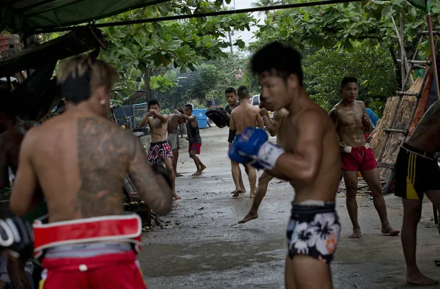 In this Tuesday, July 14, 2015, photo, members of the White New Blood lethwei fighters club, a Myanmar traditional martial-arts club which practices a rough form of kickboxing, practice in their gym on a street in Oakalarpa, north of Yangon, Myanmar. (Photo by Gemunu Amarasinghe/AP Photo)