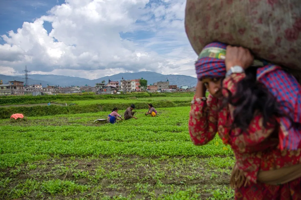 A Look at Life in Nepal