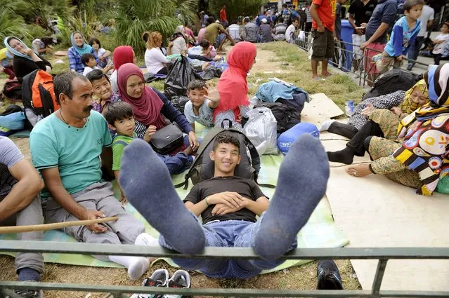 Afghan refugees rest in a park in central Athens after arriving on passenger ships from Lesbos island at the port of Piraeus, Greece, September 10, 2015. Most of the people flooding into Europe are refugees fleeing violence and persecution in their home countries who have a legal right to seek asylum, the United Nations said on Tuesday. (Photo by Michalis Karagiannis/Reuters)