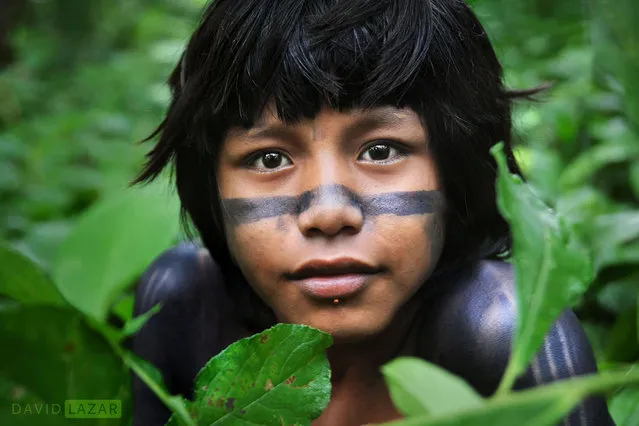 Amazon Tribe By David Lazar