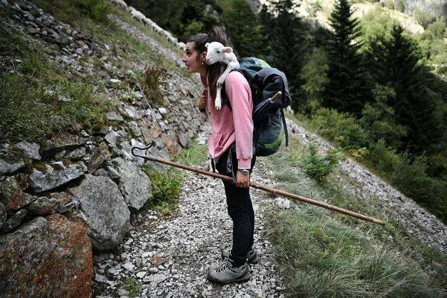 French shepherdess Alisson Carrere-Sastre, 23-years-old, stands with a lamb on her shoulders while holding her crook, in the Soula Valley, in the French Pyrenees on September 14, 2022. French shepherdess Alisson Carrere-Sastre, 23-years-old, shepherds a flock of 700 sheep in the Pyrenees pastures from June to September. (Photo by Valentine Chapuis/AFP Photo)