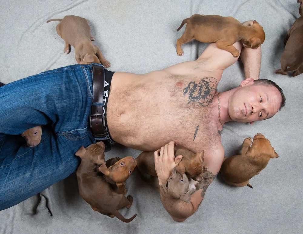 NYC Taxi Drivers Calendar