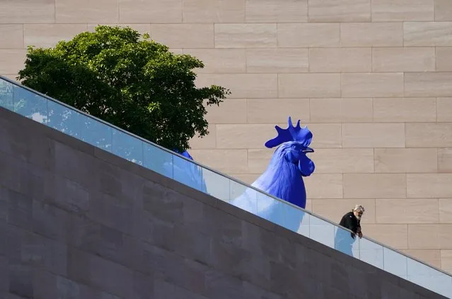A security guard peers down while standing beside a giant blue rooster sculpture by Katharina Fritsch at the National Gallery of Art in Washington, U.S., October 20, 2022. (Photo by Kevin Lamarque/Reuters)