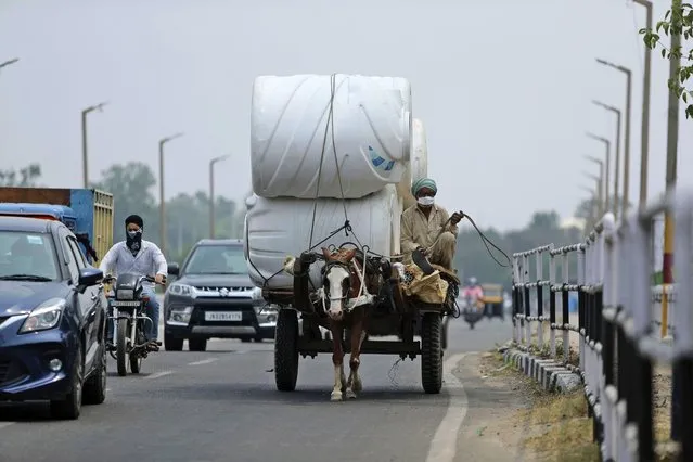 A man wearing a mask rides a horse cart delivering goods in Jammu, India, Tuesday, June 23, 2020. (Photo by Channi Anand/AP Photo)