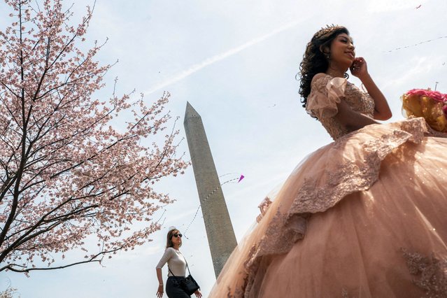 Ashley Castellon walks along the national mall while wearing a Sweet 16 dress during the National Cherry Blossom Festival annual kite festival in Washington on March 29, 2025. (Photo by Nathan Howard/Reuters)