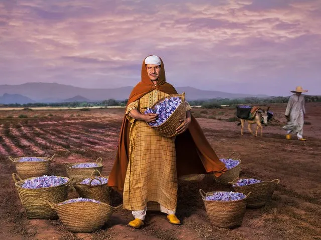 “Saffron and Freedom”. Mhamd Id Taleb, President of the saffron agricultural cooperative and Slow Food Presidium in Taliouine, a village in the south east of Morocco, the freedom of his lifestyle derives from the cultivation of saffron. (Photo by Steve McCurry/2015 Lavazza Calendar)