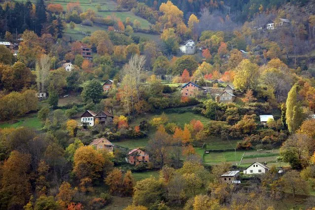 An aerial view of the forested areas with trees with yellow, brown and green colored leaves from Spider Forest and Nature Conservation Areas during autumn season in Gumushane, Turkiye on November 13, 2022. (Photo by Hakan Burak Altunoz/Anadolu Agency via Getty Images)