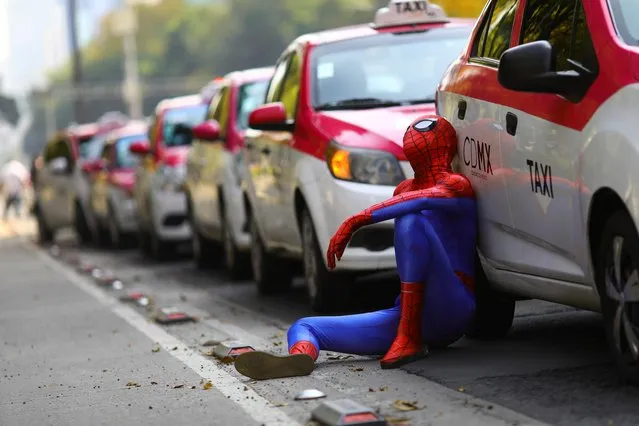 A person dressed up as Spider-Man sits next to the cabs as taxi drivers hold a protest against taxi-hailing apps such as Uber, Cabify and Didi at Angel de la Independencia monument, in Mexico City, Mexico, October 12, 2020. (Photo by Edgard Garrido/Reuters)