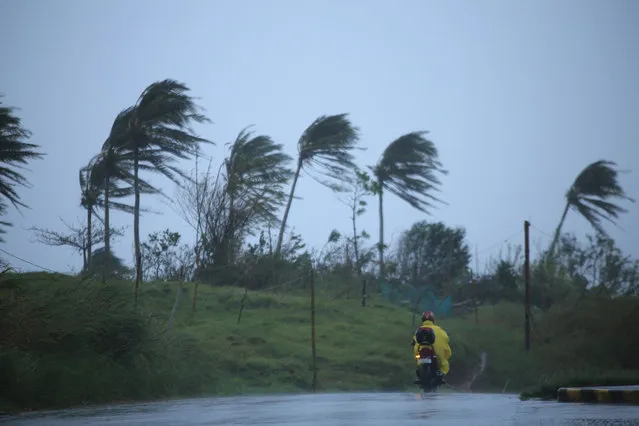 A motorist passes along a street amidst strong winds in Legazpi City, Albay province on November 11, 2020, ahead of the landfall of Tropical Storm Vamco – expected to intensify into a typhoon – in the region devastated by two typhoons in less than three weeks. (Photo by Charism Sayat/AFP Photo)