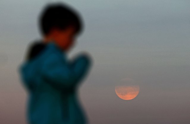 A child reacts as a supermoon, known as the “Hunter's Moon”, rises over Berlin, Germany, on November 5, 2025. (Photo by Lisi Niesner/Reuters)