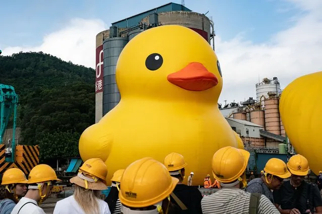 Giant inflatable rubber duck sculptures are seen in Tsing Yi on May 25, 2023 in Hong Kong, China. The 18-metre-tall inflatable sculptures are some of the tallest rubber ducks in the world, created by Dutch artist Florentijn Hofman. The duck duo will make their official debut in a large-scale public art exhibition “DOUBLE DUCKS by Flotentijn Hofman” curated by AllRightsReserved later this year. (Photo by Anthony Kwan/Getty Images)