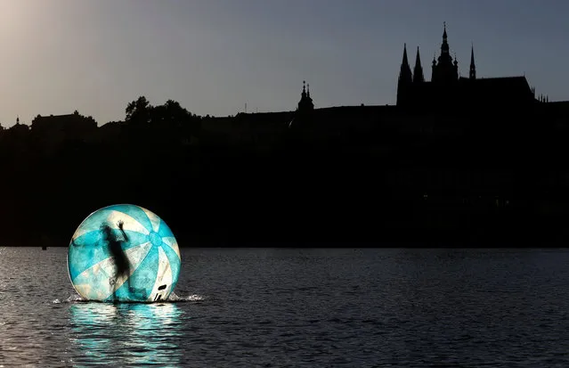 A girl plays inside a giant plastic ball, called Zorb on the Vltava River in Prague, Czech Republic, July 2, 2018. (Photo by David W. Cerny/Reuters)