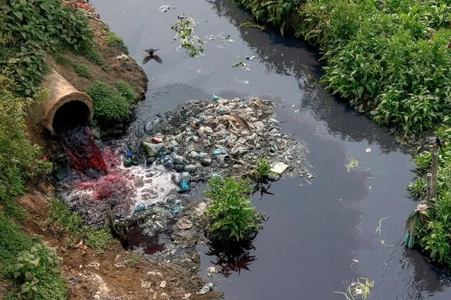 Water, which has been coloured by textile dye and will eventually flow through the Labandha, Turag and Buriganga rivers, is released near a paddy field in the Mawna Union area, north of Gazipur, Bangladesh on March 2, 2023. The Buriganga, or the “Old Ganges”, is so polluted that its water appears pitch black, except during the monsoon months, and emits a foul stench through the year. Bangladesh is the world's second-biggest garment exporter after China but citizens and environment activists say the booming industry is also a major contributor to the ecological decline of the river. Untreated sewage, by-products of fabric dyeing and other chemical waste from nearby mills and factories flow in daily. (Photo by Mohammad Ponir Hossain/Reuters)