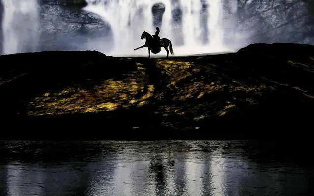 A horse and rider perform during a “sneak peek” performance of Cavalia's show “Odysseo” in Somerville, Massachusetts, on August 6, 2013 The show, which features 63 horses and 47 human artists, acrobats, riders and performers, opens its Boston-area performances August 7. (Photo by Brian Snyder/Reuters)