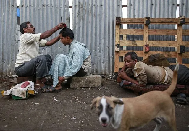A man gets a haircut from a roadside barber near a dog at a market in Mumbai, February 5, 2015. (Photo by Danish Siddiqui/Reuters)