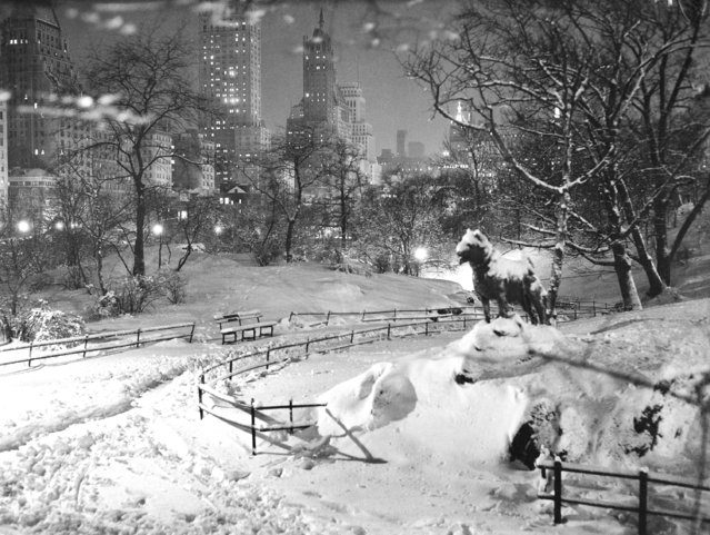 Trough the warmth of civilization lies just beyond, this statue of “Balto” the indomitable lead dog who carried that famous serum to Nome, appears to be in its element during New York's heavy snowfall. The brilliantly-lighted skyline of upper Fifth Avenue in the background in the Central Park on February 20, 1934. (Photo by AP Photo)
