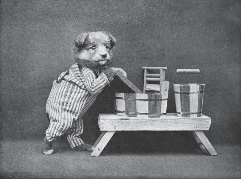 The Extraordinary World of Harry Whittier Frees (UPDATED)