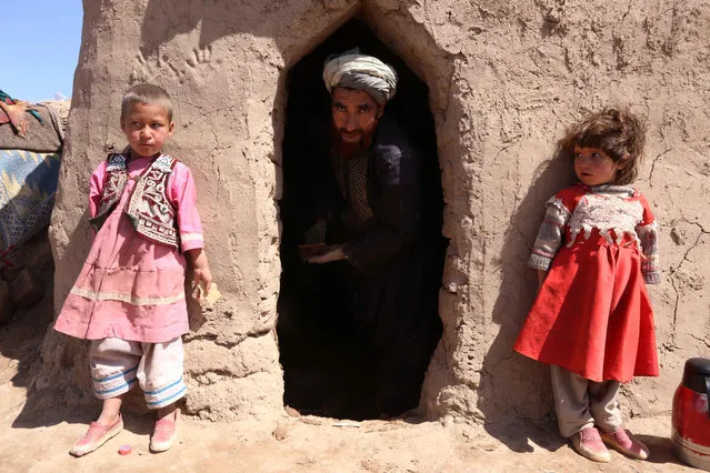 Afghan people pose for a photograph near their temporary shelter at an internally displaced person's (IDP) camp on the outskirts of Herat, Afghanistan, April 20, 2015. According to UN Refugee Agency (UNHCR) figures, the number of internally displaced Afghani people was 683,000 by mid-2014, estimating they will amount to 900,000 by the end of 2015. (Photo by Jalil Rezayee/EPA)