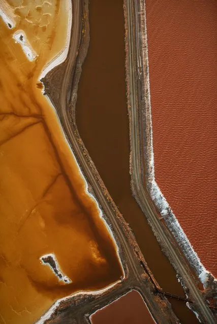 Landscape third place: Jassen Todorov, US. “If you have flown into San Francisco international airport, you may have seen these colourful salt ponds over the bay”, Todorov said. “I have photographed them numerous times, as the colours and patterns constantly change thanks to microorganisms and salinity. This aerial image was taken while flying my plane”. (Photo by Jassen Todorov/TNC Photo Contest 2021)