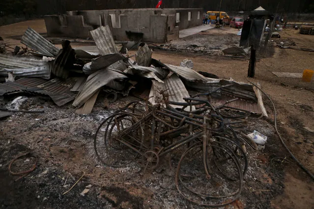 This Saturday, January 21, 2016 photo shows charred bicycles amid debris left from wildfires in Pumanque, Chile. The fires have consumed forests, livestock and entire towns, prompting President Michelle Bachelet to declare a state of emergency, deploy troops and ask for international help. (Photo by Esteban Felix/AP Photo)