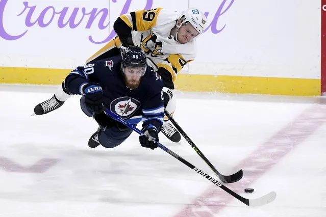 Winnipeg Jets' Pierre-Luc Dubois (80) and Pittsburgh Penguins' Jake Guentzel (59) vie for the puck during the first period of an NHL hockey game Monday, November 22, 2021, in Winnipeg, Manitoba. (Photo by Fred Greenslade/The Canadian Press via AP Photo)