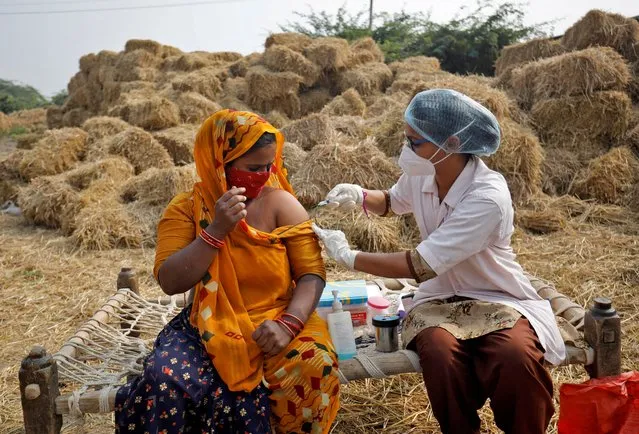 Jabuben Bharwad, 30, receives a dose of COVISHIELD vaccine against COVID-19, that's manufactured by Serum Institute of India, while working in a field during a door-to-door vaccination drive at Mahijada village on the outskirts of Ahmedabad, India, December 15, 2021. (Photo by Amit Dave/Reuters)