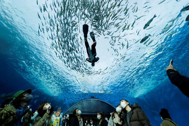 A diver wearing Santa Claus costume swims in a large fish tank with fish, as visitors wearing protective face masks look on, during an underwater performance for the Christmas celebration, amid the coronavirus disease (COVID-19) pandemic, at Hakkeijima Sea Paradise in Yokohama, south of Tokyo, Japan on December 10, 2021. (Photo by Issei Kato/Reuters)
