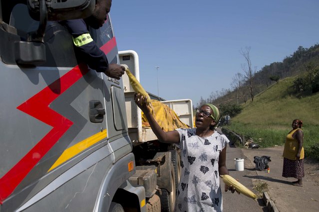 A trader sells mealies to passing motorists on the side of the N3 highway at Pinetown, South Africa, April 19, 2016, as food prices continue to rise due to drought conditions. (Photo by Rogan Ward/Reuters)
