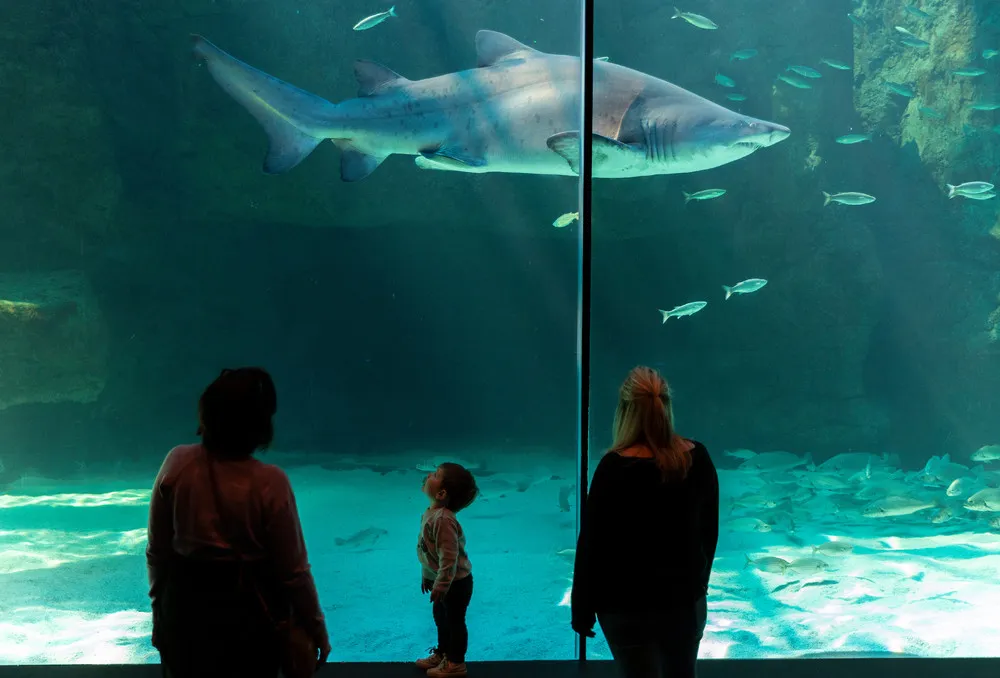 The Day in Photos – August 17, 2019