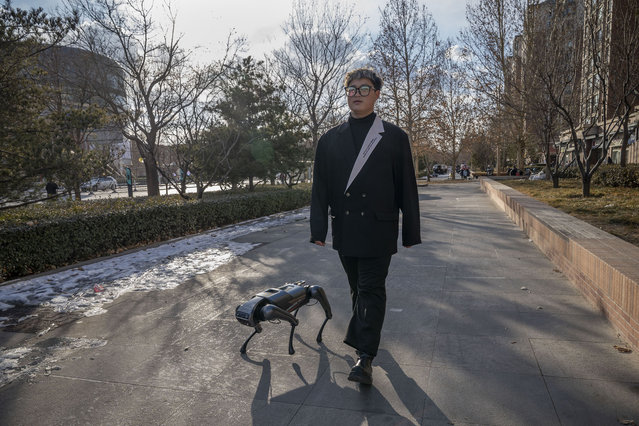 A man walks with a Cyberdog, produced by Chinese tech company Xiaomi, on February 19, 2022 in Beijing, China.The quadruped robots, often owned by tech and robotic enthusiasts, do not have a specific purpose so far, but the open source nature of the robots could make them suitable for several applications in the future. (Photo by Andrea Verdelli/Getty Images)