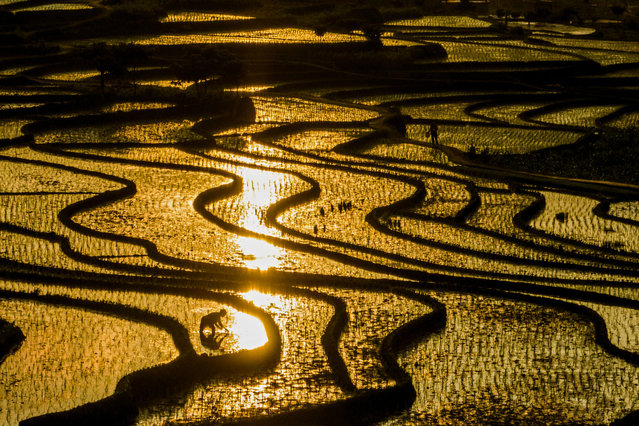 This aerial photograph taken on May 13, 2024 shows farmers working at a rice field in Bijie, in southern China's Guizhou province. (Photo by AFP Photo/China Stringer Network)