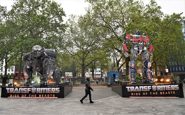 Transformers statues of Autobot leader Optimus Prime and Maximal leader Optimus Primal have been unveiled to mark the release of “Transformers: Rise of the Beasts” at Leicester square at on May 26, 2023 in London, England. In cinemas June 8th. (Photo by Kate Green/Getty Images for Paramount Pictures UK)