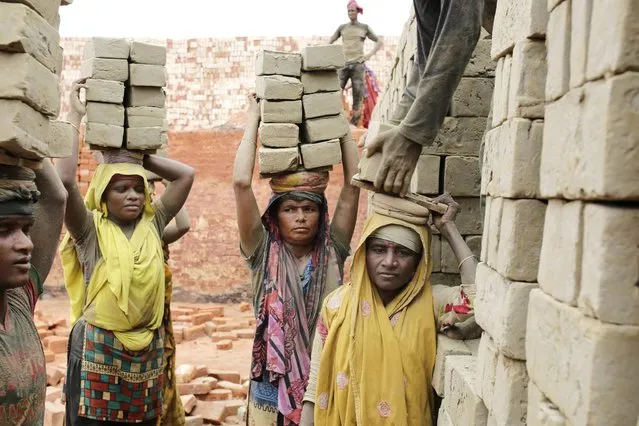 Female workers unload raw bricks for burning at a brick factory in Narayangonj, Dhaka, Bangladesh, 01 June 2016. Many female workers migrate to the city to work as daily laborers to support thier families. They live and work for 6/7 months of the year during the season for brick production and earn around 3 euro per day, working from dawn till dusk. (Photo by Abir Abdullah/EPA)