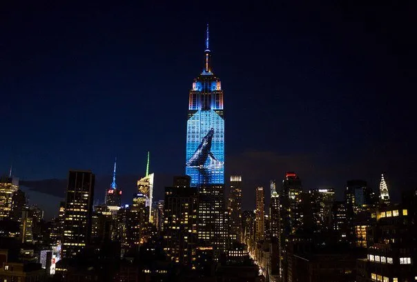 Empire State Building Brings Endangered Animals