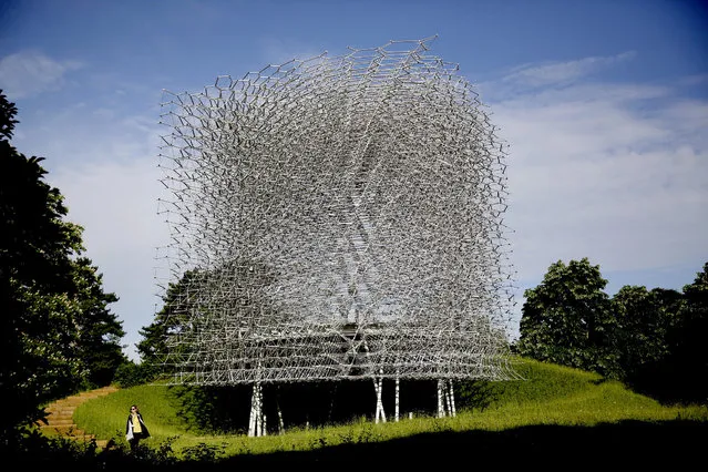 A Kew representative poses for photographs by walking from artist Wolfgang Buttress' 17 metre high bee health inspired “The Hive” aluminum installation as it stands on display after being put up in Kew Royal Botanic Gardens west London, Wednesday, June 15, 2016. The installation is fitted with LED lights and a unique sound accompaniment that respond to the real-time activity of bees in a beehive behind the scenes. The sound and light intensities change as the energy levels in the real beehive surge, giving visitors an insight into life inside a bee colony. (Photo by Matt Dunham/AP Photo)