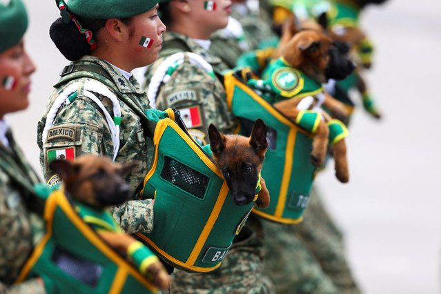 Members of the military hold dogs as they take part in the parade celebrating Independence Day in Mexico City, Mexico on September 16, 2024. (Photo by Raquel Cunha/Reuters)