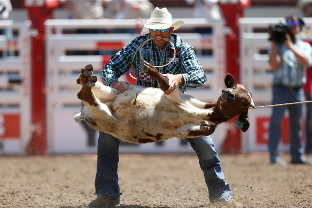 Cade Swor of Winnie, Texas flips a calf in the calf tie-down roping event during the rodeo at the Calgary Stampede in Calgary, Alberta, Canada July 7, 2017. (Photo by Todd Korol/Reuters)