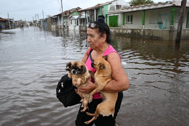 A woman carries two dogs as she wades through a flooded street after the passage of Hurricane Rafel in Batabano, Mayabeque province, Cuba, on November 7, 2024. Hurricane Rafael knocked out power to all of Cuba on Wednesday as it slammed through the cash-strapped island, which was still reeling from a recent blackout and a previous deadly storm. Rafael strengthened to a major Category 3 hurricane as it made landfall on the Caribbean island of 10 million people. (Photo by Yamil Lage/AFP Photo)