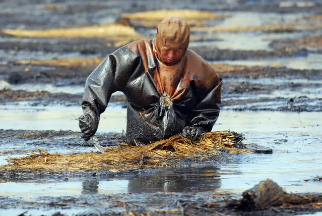 A labourer cleans up oil at the oil spill site near Dalian port, Liaoning province July 23, 2010. China's Xingang oil port has resumed some refined fuel loading for the domestic market, but fuel exports remain temporarily halted, industry officials said amid continuing efforts to clean up an oil spill at the country's major port of Dalian. (Photo by Reuters/Stringer)