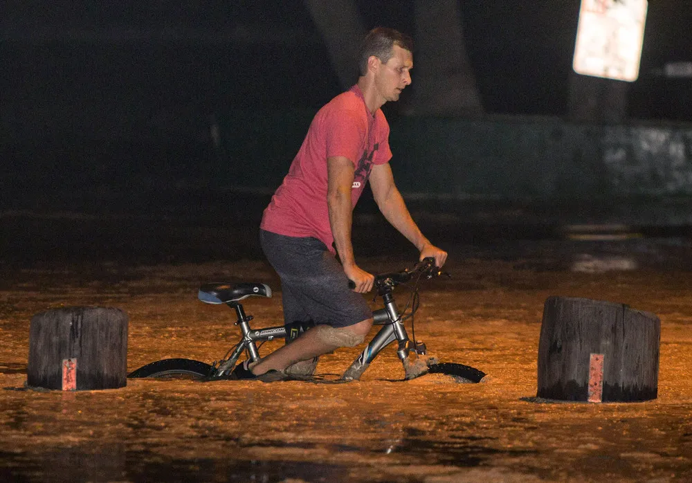 Surfers Delight in Hurricane Marie's Big Waves